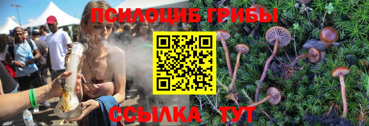Галлюциногенные грибы GOLDEN TEACHER  Вход с VPN  закладка  Нерюнгри 